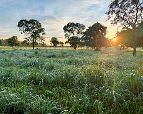 Bioética Ambiental e Responsabilidades - JAMP Brasil