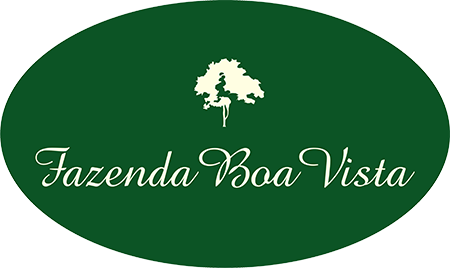 fazenda boa vista