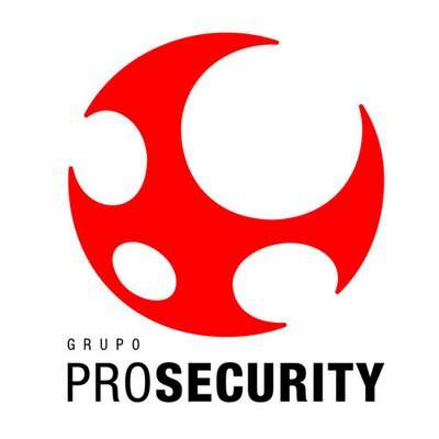 pro security