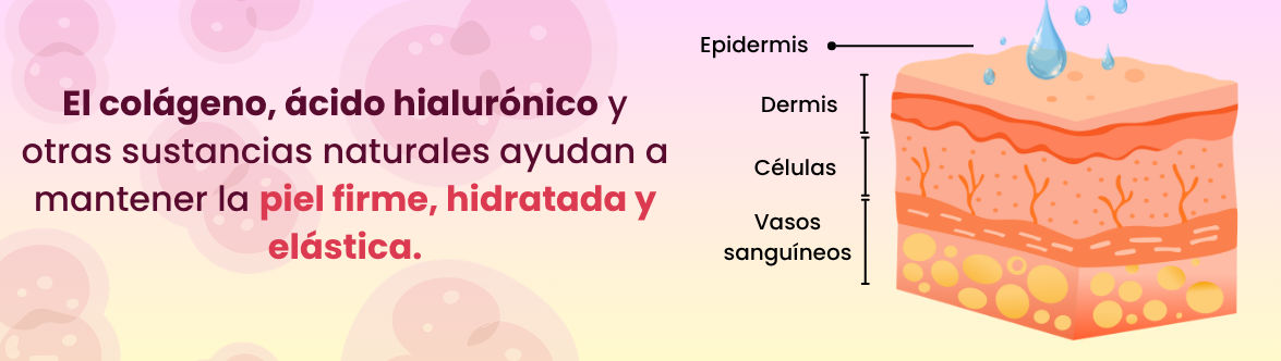 Colágeno y ácido hialurónico en la piel
