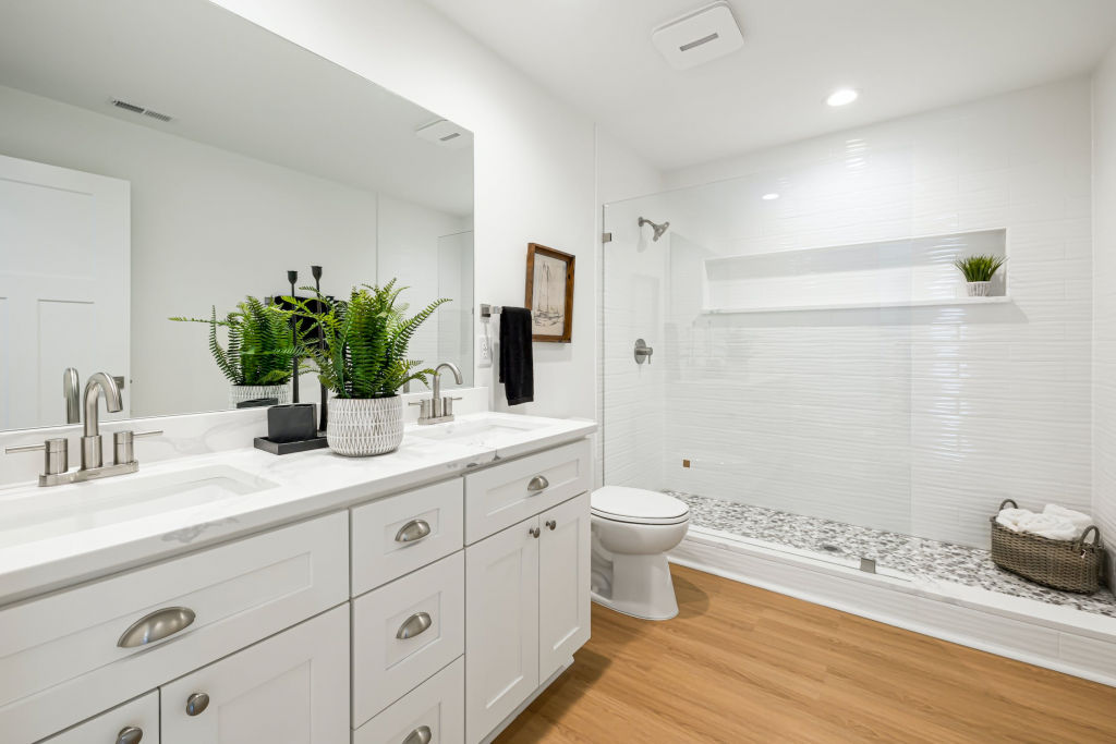 bathroom plant