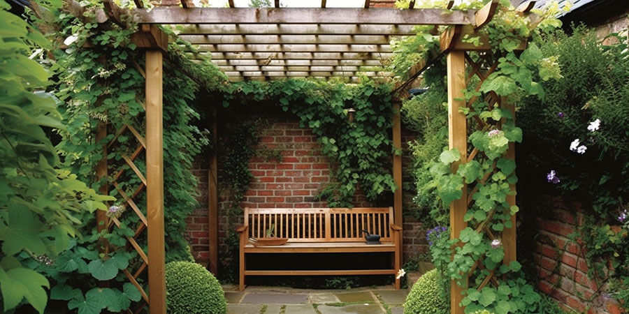 Trellises and Climbing Plants