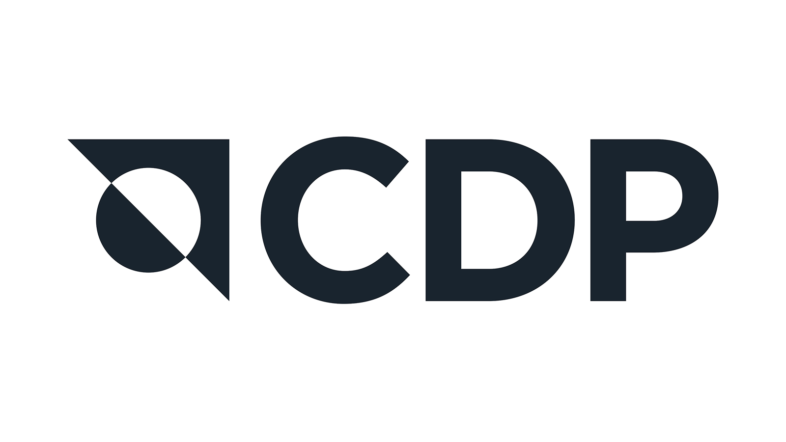 Carbon Disclosure Project