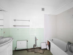 Vignette 11