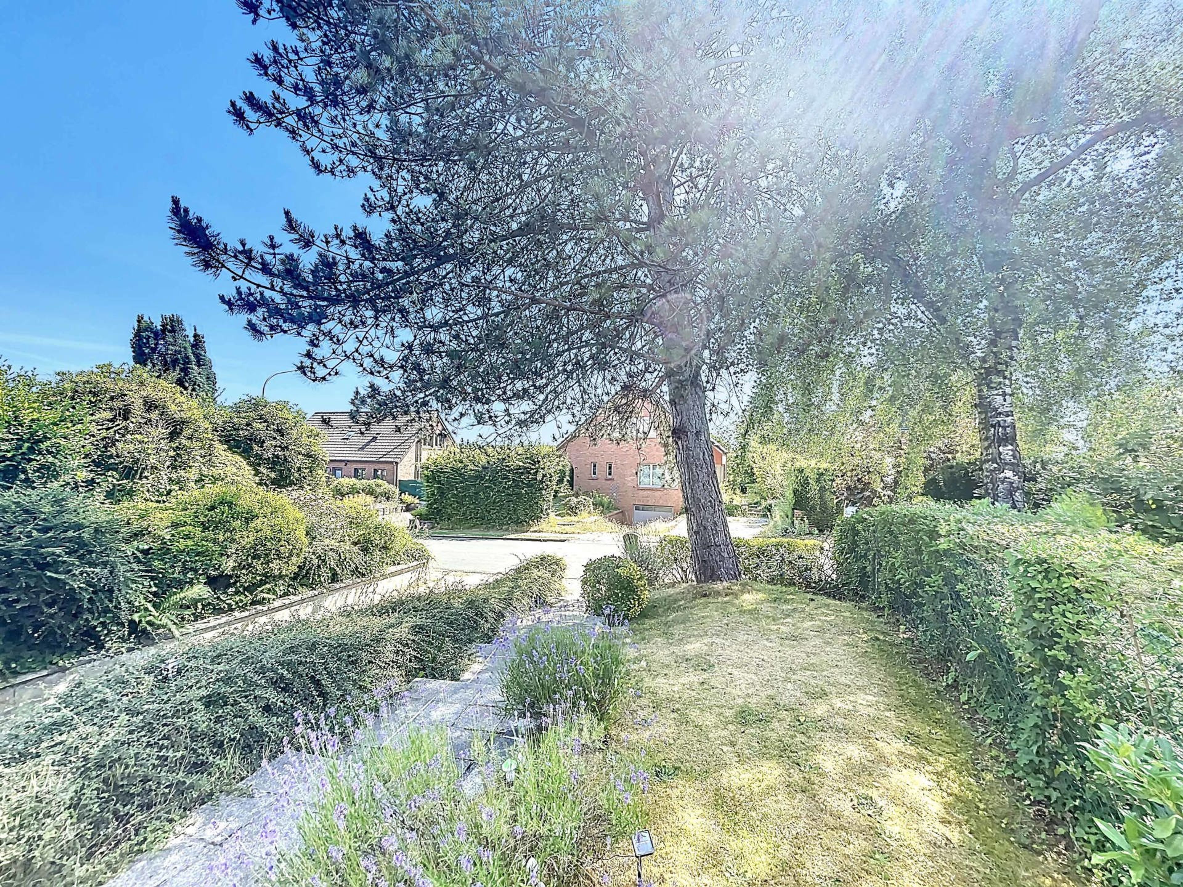 Photo du bien 19