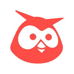 Hootsuite icon