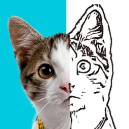 Photo To Sketch icon