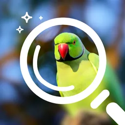 Image Enhancement icon