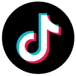 TikTok Ads icon