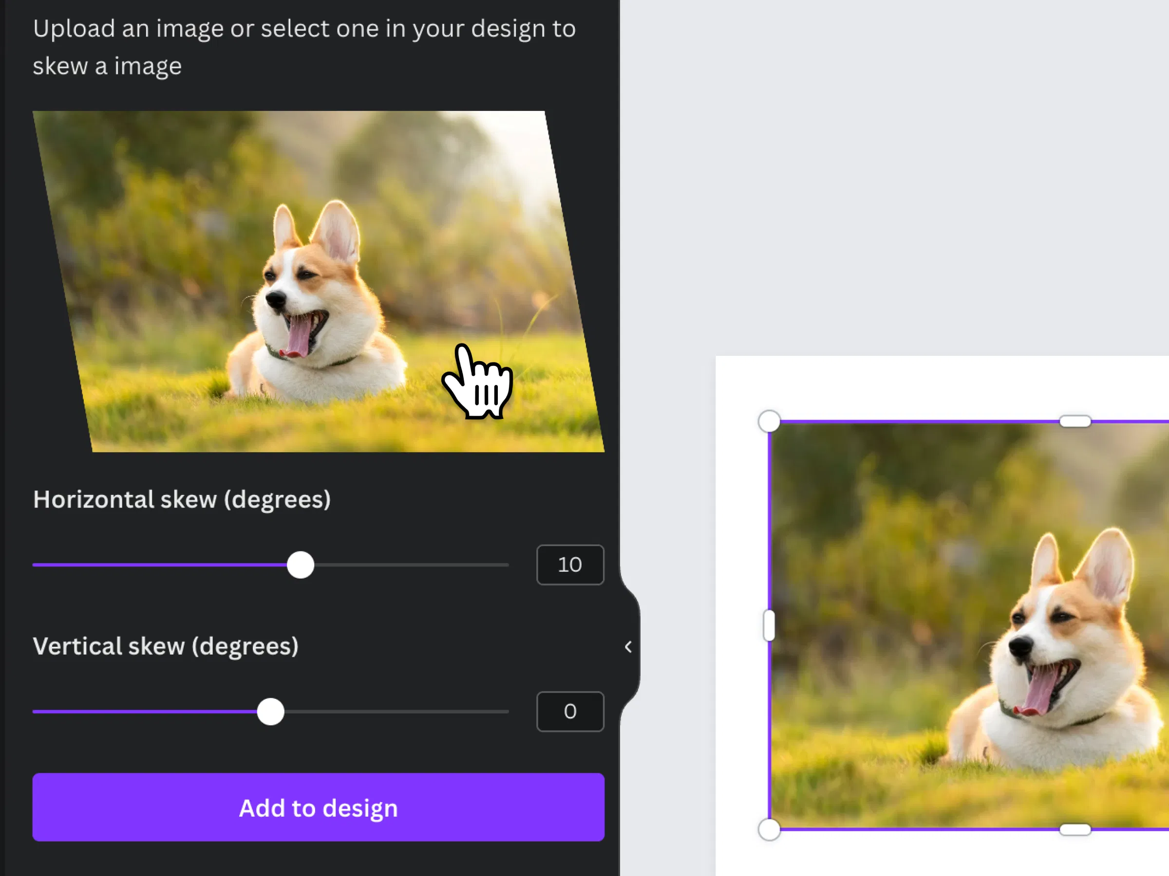 Skew Image screenshot 2