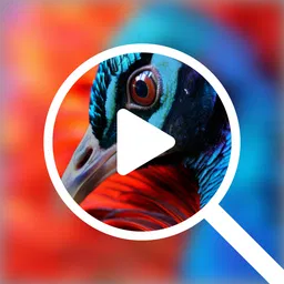 Video Upscaler icon