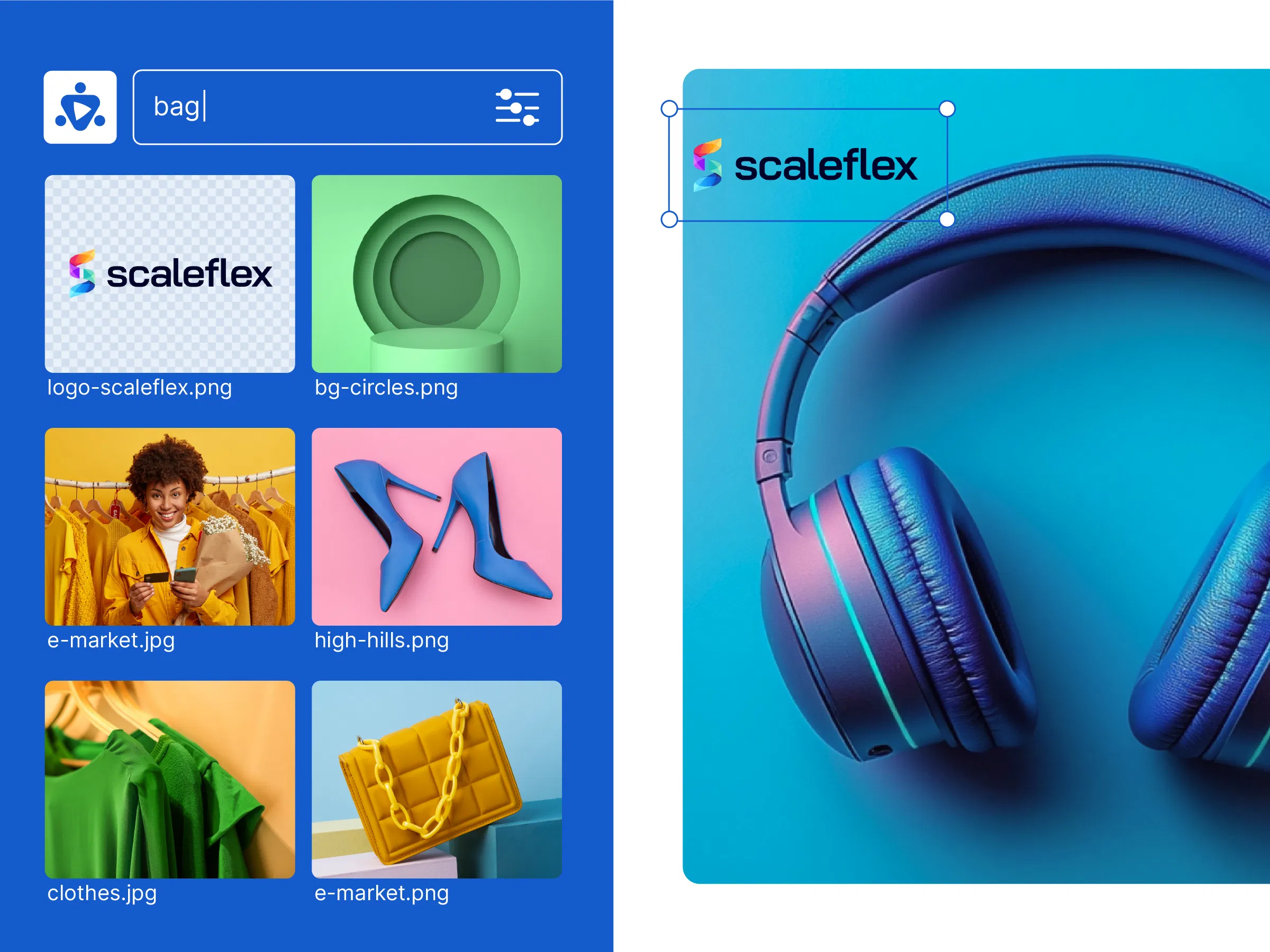 Scaleflex DAM screenshot 2