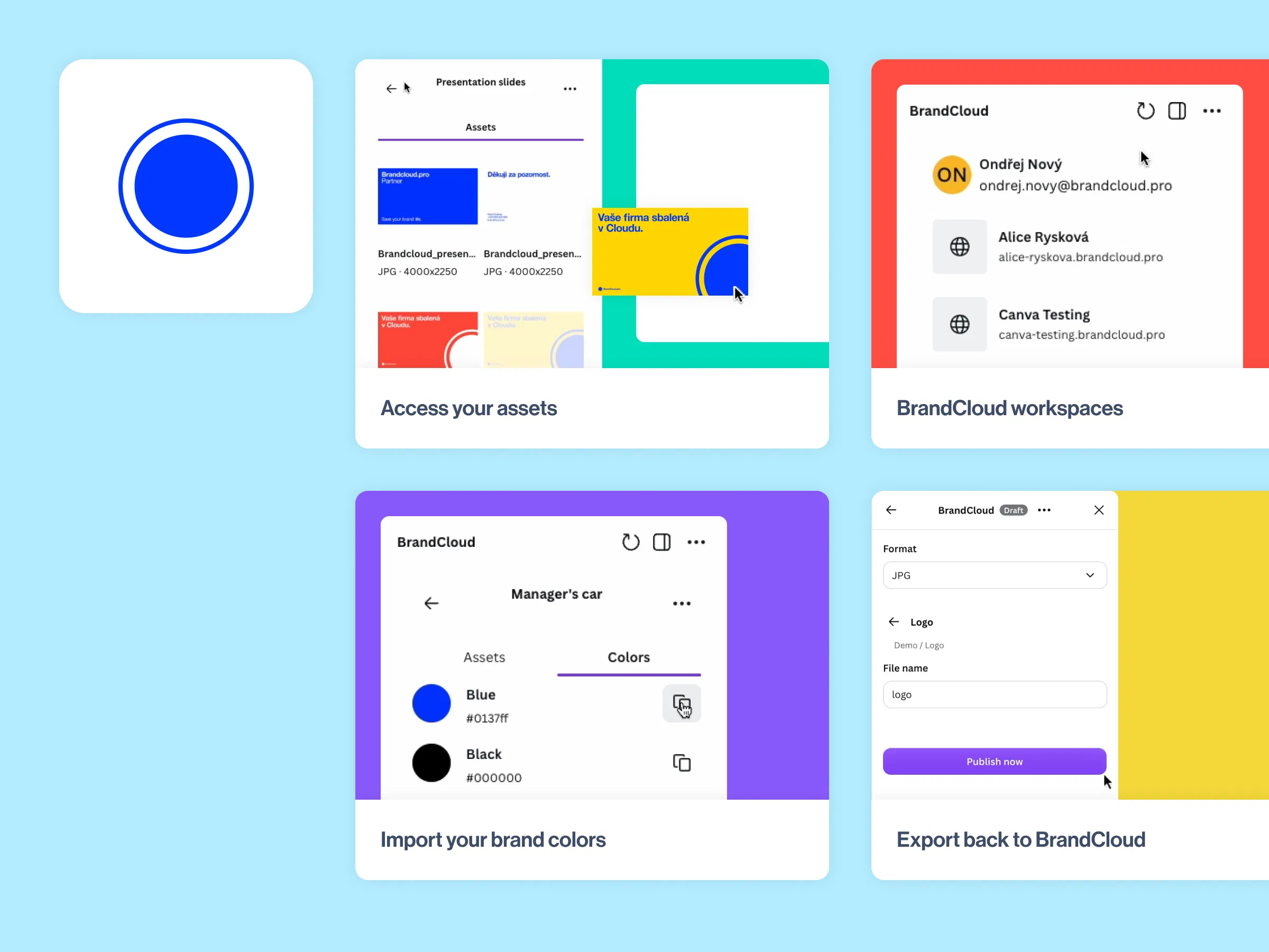 BrandCloud screenshot 2