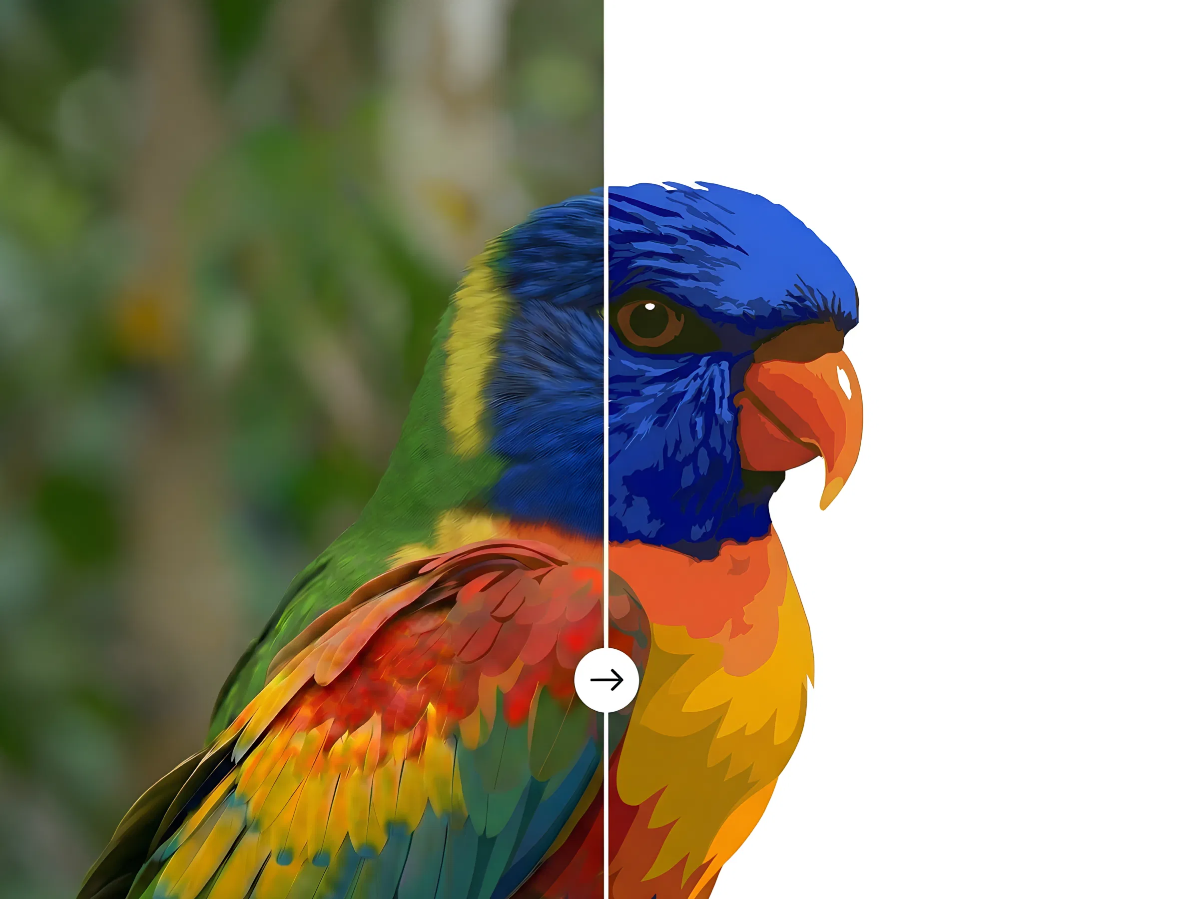 Vectorify screenshot 1