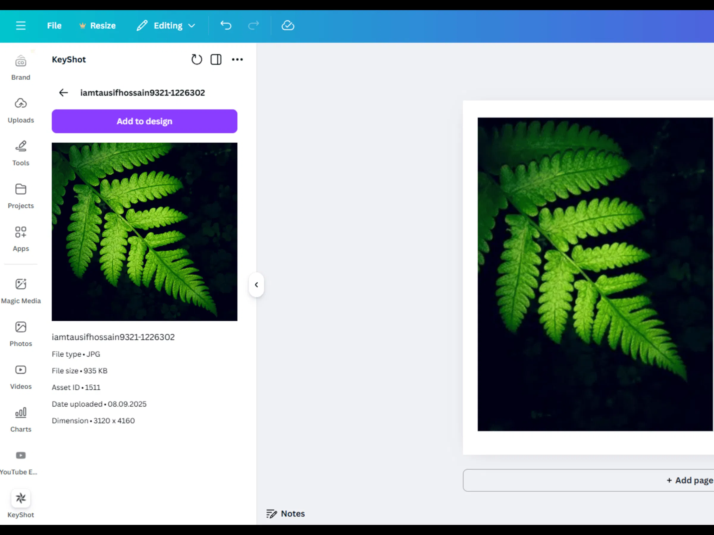 KeyShot screenshot 2