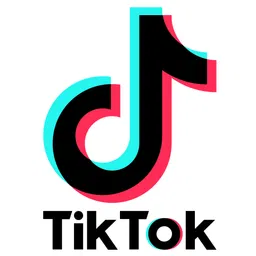 TikTok icon