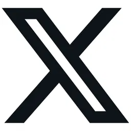 X icon