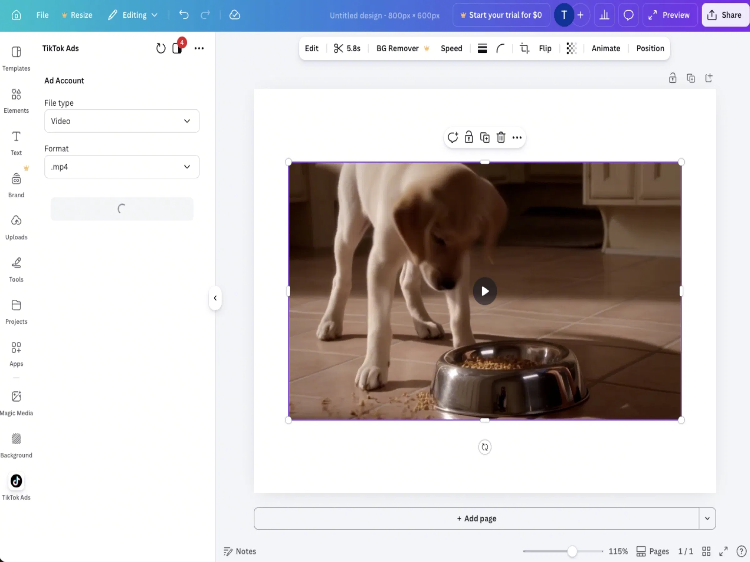TikTok Ads screenshot 1