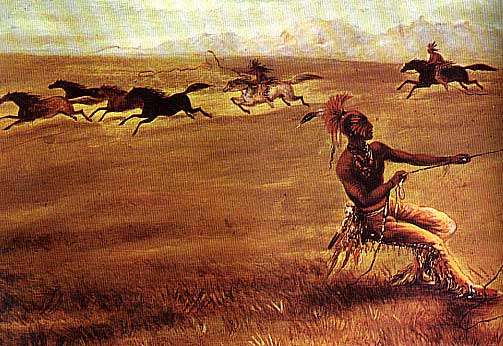 horse in comanche language