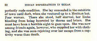 James Webster story from the book Indian Depredations in Texas by J. W. Wilbarger