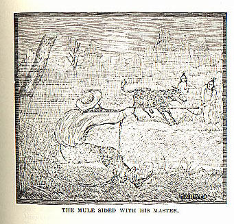 Mule Sided With His Master picture from the book Indian Depredations in Texas by J. W. Wilbarger