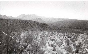 Picture of Aravaipa Creek. Place where Camp Grant Massacre took place