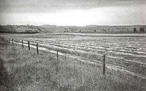 Picture of Clearwater River Battle Site