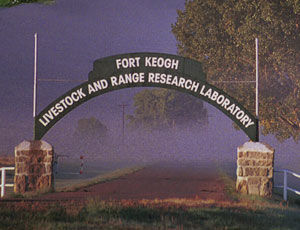Picture at Gate of Fort Keogh
