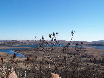 Picture of Mount Scott