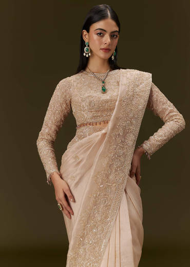 beige-ivory-tissue-saree-with-velvet-embroidered-blouse-sg309648-3_29f7bc7e-0c0a-412c-af1c-5fc0b7a5a94b.jpg