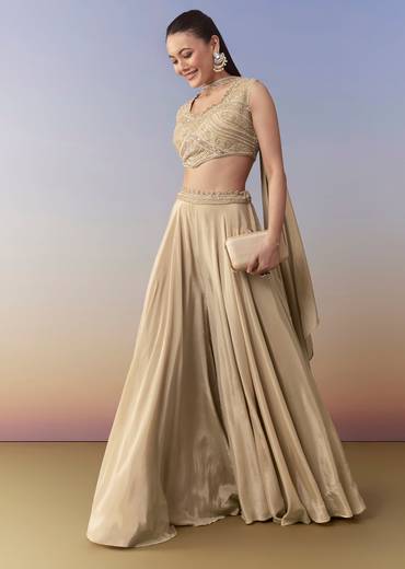 Beige Moti Work Crop Top Palazzo and Dupatta Set