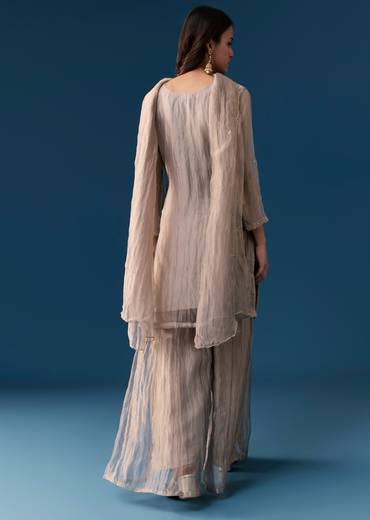 Grey Tissue Palazzo Set With Cut Dana And Sequins Work