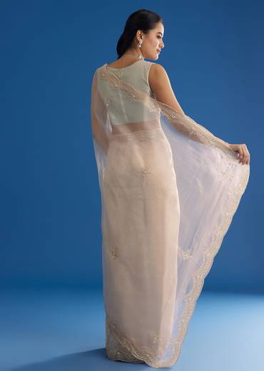 off-white-glass-tissue-saree-with-embroidered-scallop-border-sg293144-1_019cda63-374d-4612-a7f7-cfb97b5ee28d.jpg