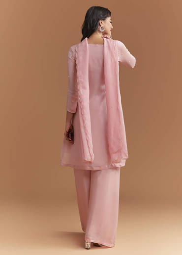 pink-chinon-palazzo-suit-with-cutdana-and-sequins-work-sg362786-1.jpg