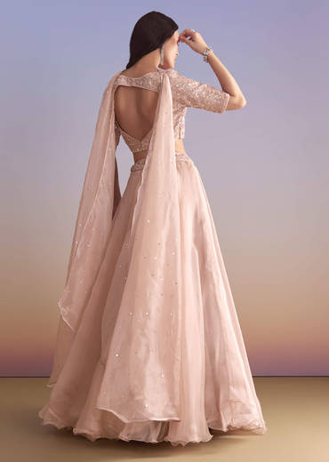 pink-organza-bridesmaid-lehenga-with-sequins-and-cutdana-embroidery-sg320914-1.jpg