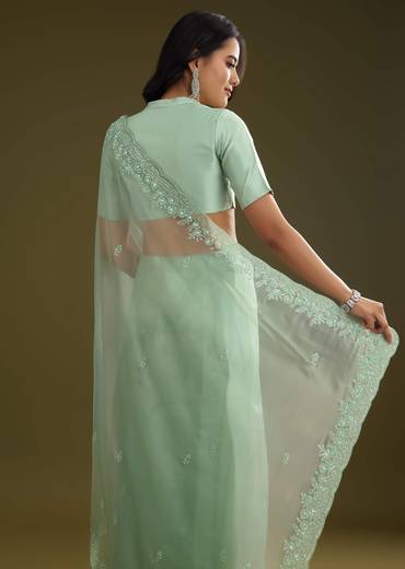 pista-green-tissue-saree-with-embroidered-scallop-border-sg293903-3_4bbc5c9c-922c-4102-a276-10eb8d5d4ddf.jpg