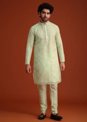 light_green_organza_aligarhi_kurta_with_zari_embroidery-sg250796_3_42bd232d-eab7-46a0-85f1-9a331edd03da.jpg