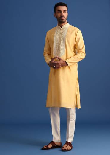 pastel_yellow_hand_embroidered_kurta_set_in_silk-sg263031_3_0ad04496-77ad-48e1-ad4a-0364283e6dd7.jpg