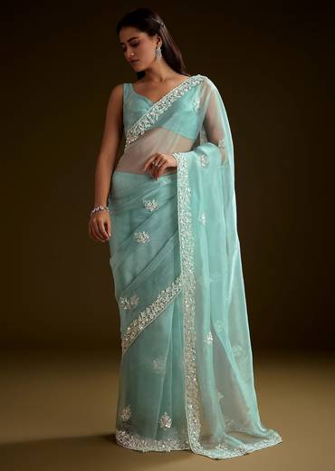 sea-green-tissue-saree-with-floral-embroidery-and-scallop-border-sg286917-1_0972a346-d361-46ee-a639-7873f17ae75a.jpg