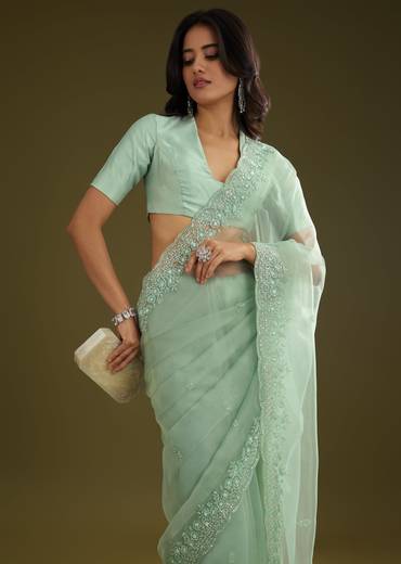 pista-green-tissue-saree-with-embroidered-scallop-border-sg293903-3_4bbc5c9c-922c-4102-a276-10eb8d5d4ddf.jpg