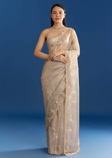 silver-organza-tissue-saree-with-sparkling-border-sg284729-1_8bada4ea-51e7-42ae-92e0-0bf00311307e.jpg