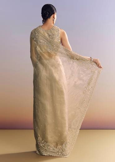 Beige Crush Tissue Saree With Multitech Embroidery