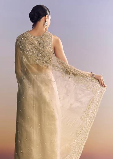 Beige Crush Tissue Saree With Multitech Embroidery