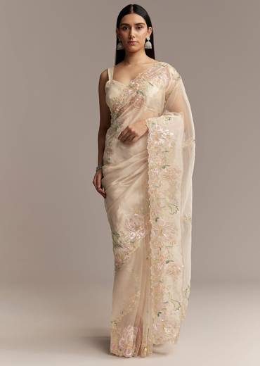 Water Gold Tissue Saree With Multicolor Floral Cutwork Embroidery