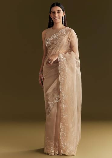 Beige Glass Tissue Embroidered Saree With Scallop Border