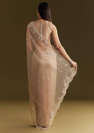 Beige Glass Tissue Embroidered Saree With Scallop Border