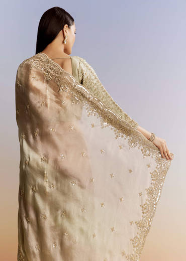 Beige Shaded Tissue Saree With Sequins Beads And Cutdana