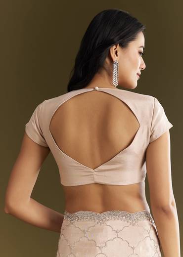 Beige Tissue Embroidered Saree With Cutdana Stones And Sequins