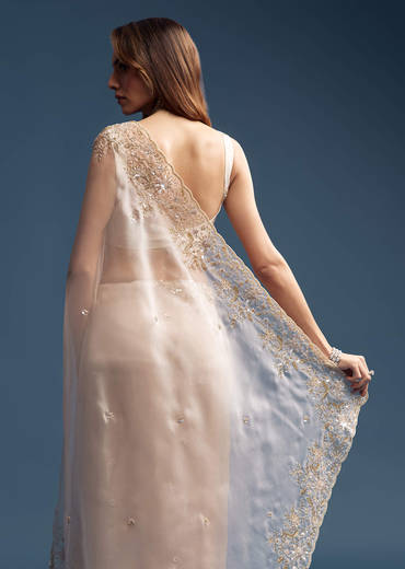 Beige Tissue Saree With Golden Floral Embroidery