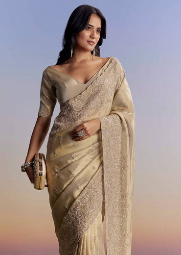 Beige Tissue Saree With Hand Embroidery With Cutdana And Sequins